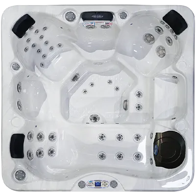 Avalon EC-849L hot tubs for sale in Novato