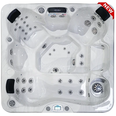 Avalon-X EC-849LX hot tubs for sale in Novato