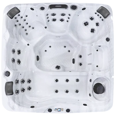 Avalon EC-867L hot tubs for sale in Novato