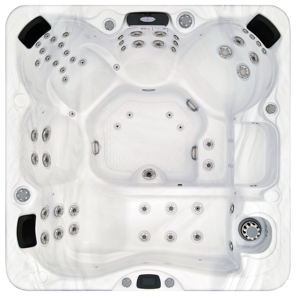 Avalon-X EC-867LX hot tubs for sale in Novato